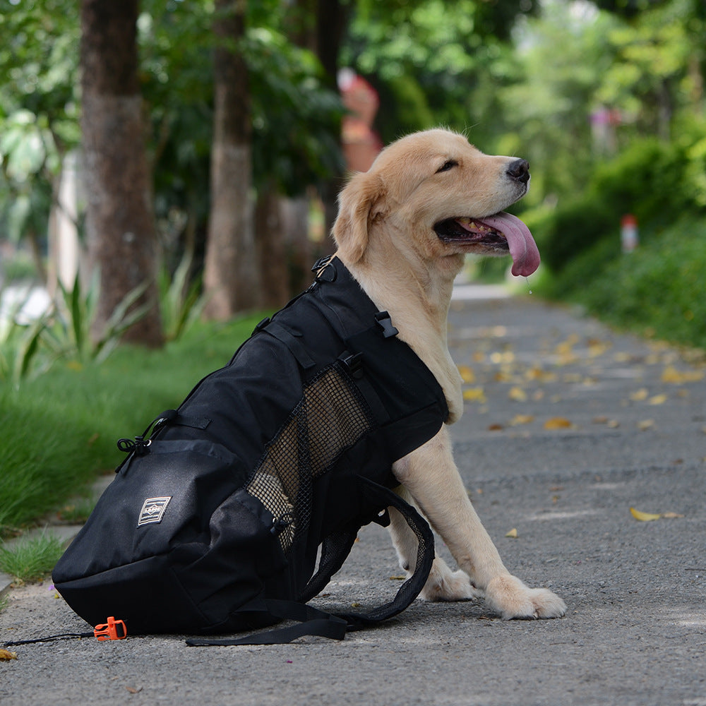 Ventilated And Breathable Pet Backpack 5207322793212 16a17d0e 91e8 4836 93db 0dc3de0f7ad9