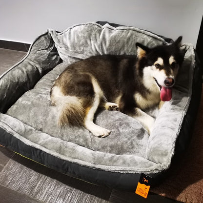 Golden retriever dog sofa 5248149667866