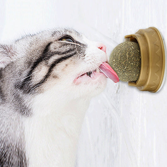 Catnip Balls Cat Treats Rotary Molar Teeth Cleaning 52beea97 d9de 4f3d 9da3 8c16abe8aec1