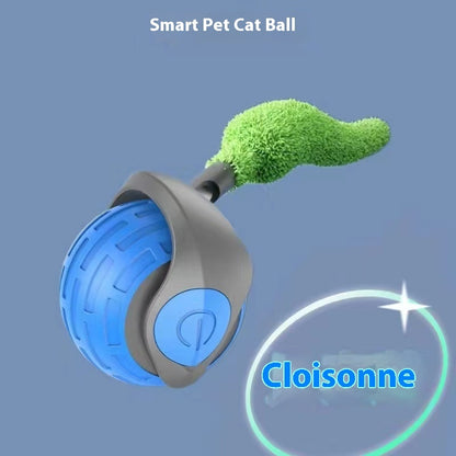 Pet Toy Ball Relieving Stuffy And Funny Cat Bite-resistant 5370caa8 8c38 4981 a699 5c3bc79feb18 trans