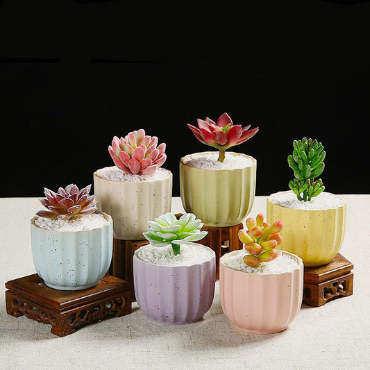 Ceramic Creative Indoor Succulent Plant Pots