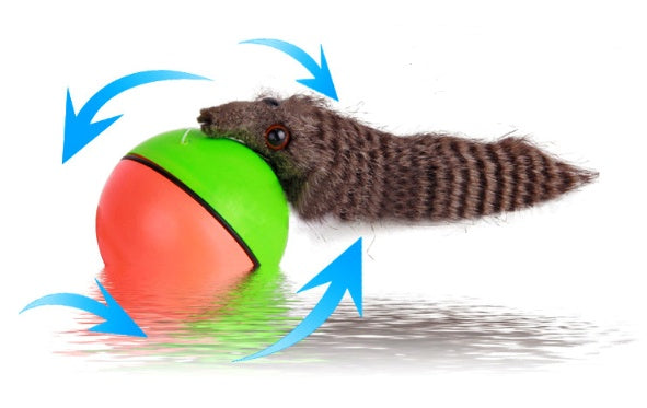 Electric Beaver Ball Water Cat Bath Play Water Toys 540117849309
