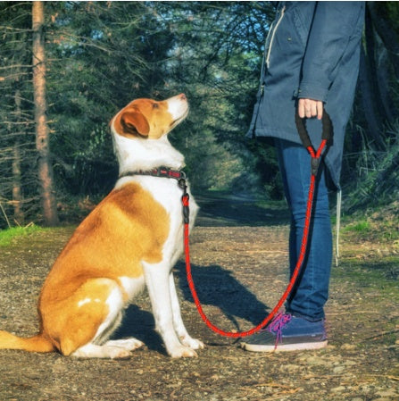 Reflective Dog Leash Nylon Pet Dog Leash Rope For Small Medium Large Dogs Walking Training Pet Suppiles 540262471694