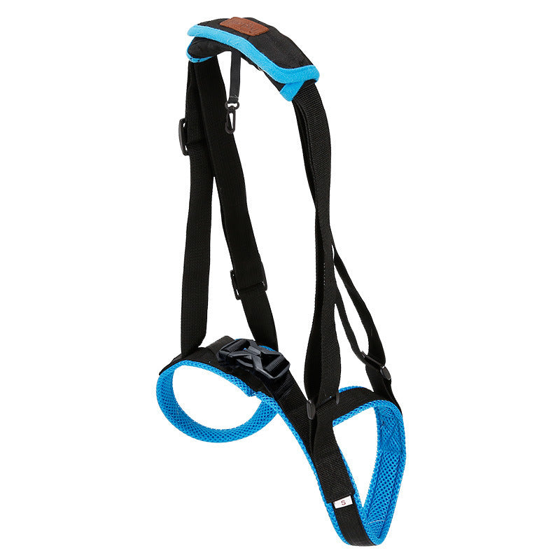 Pet Leg Strap Walking Support Dog Leg Support 542913560688