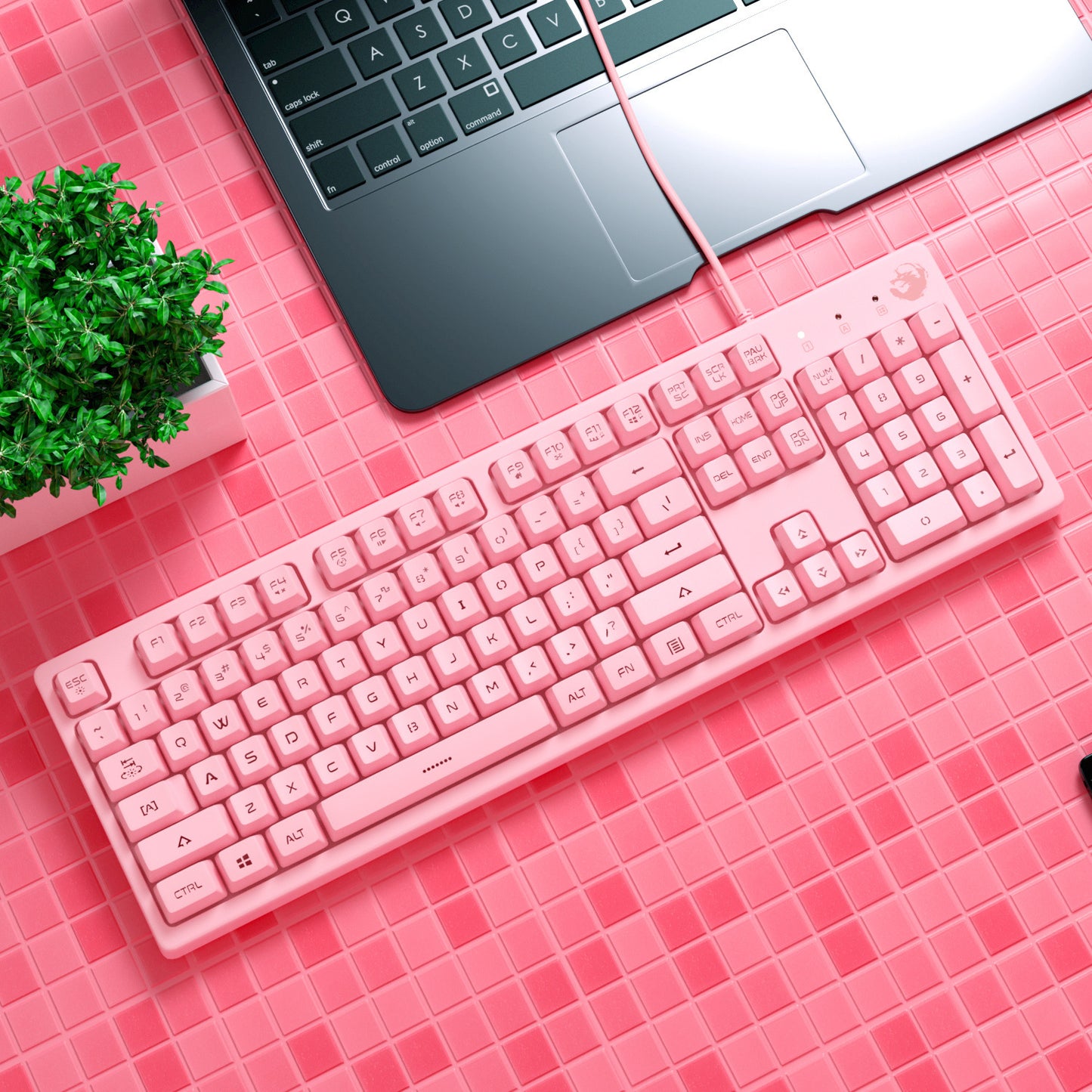 Computer Notebook  Mechanical Keyboard  LoL  Typing 54317908280