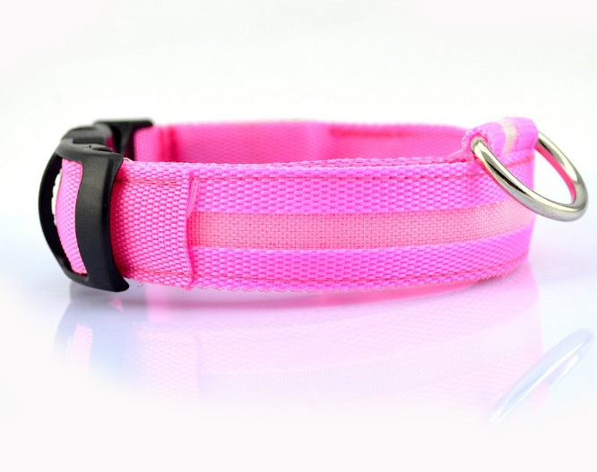 Safety Dog LED Collar 5448508462592