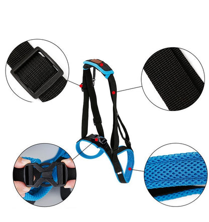 Pet Leg Strap Walking Support Dog Leg Support 546238021718