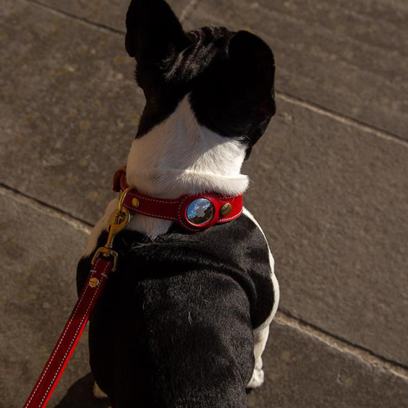 Fruit Tracker Collar Dog Positioning Collar Protective Leather Case 54d7fb8c 24eb 47e2 8158 153f66af5072
