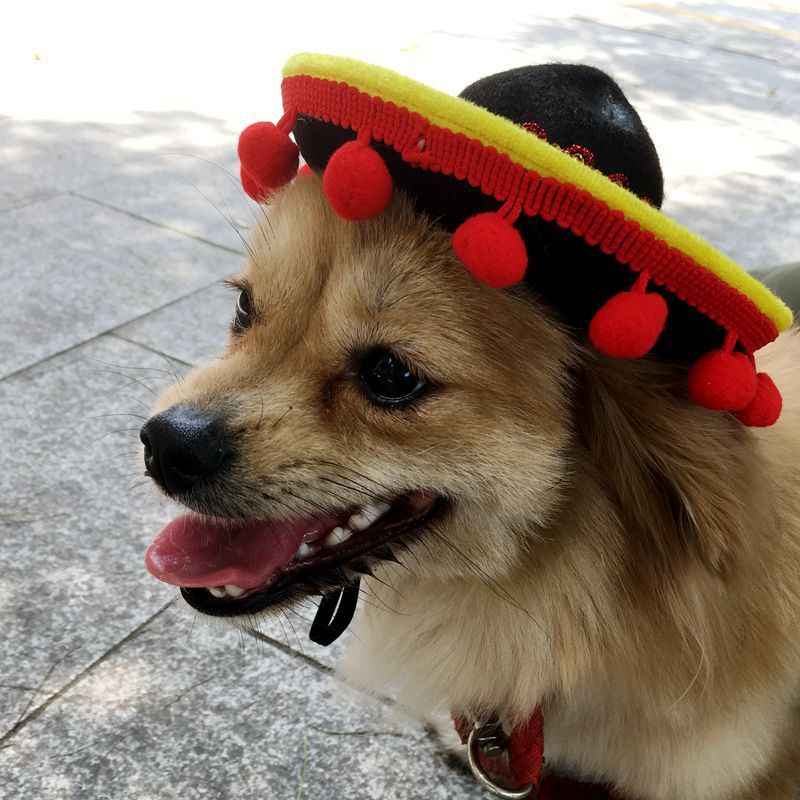 Mexican Style Pet Hat Dog Hat Pet Supplies 564513487720