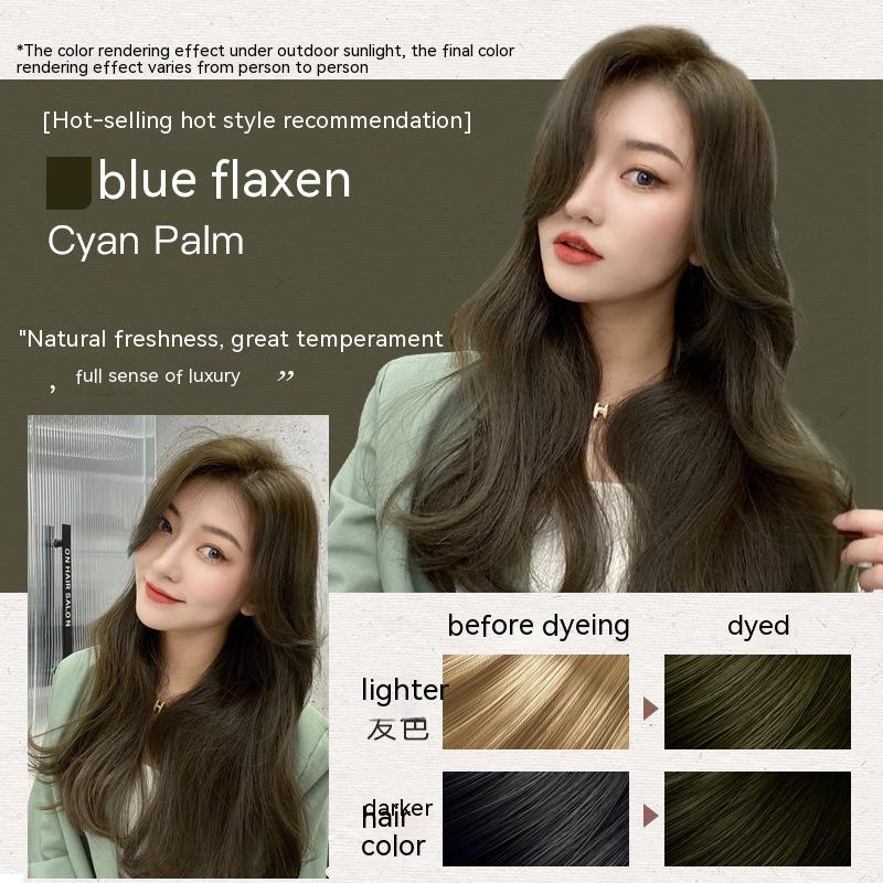 Ammonia-free Hair Color Paste Monochrome Paste Cover White Hair Multi-segment Color One-step Black Tea Gray Blue Black Hair D