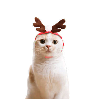 Cute Dog Cat Costume Christmas Cloak Halloween Disguise Cat 5666d251 7015 4085 975c 84b2261219c0