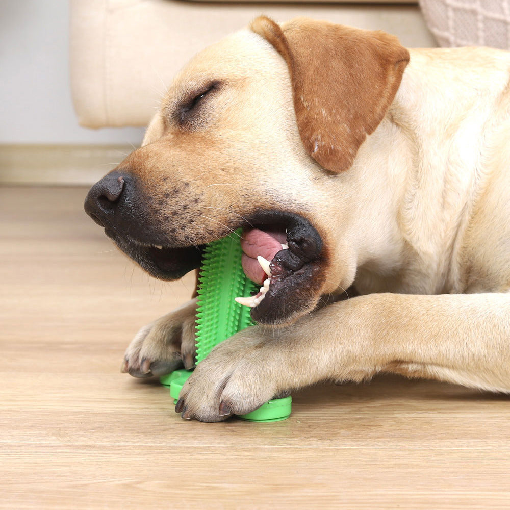 Vent Toy Sucker Cleaning Dog Toothbrush 5698cf97 4a61 476a 8d79 2294b7a36fa9