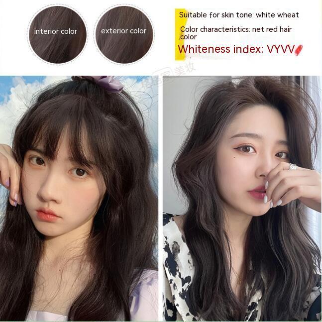 Ammonia-free Hair Color Paste Monochrome Paste Cover White Hair Multi-segment Color One-step Black Tea Gray Blue Black Hair D