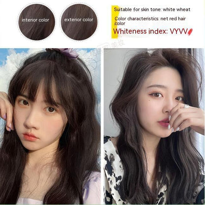 Ammonia-free Hair Color Paste Monochrome Paste Cover White Hair Multi-segment Color One-step Black Tea Gray Blue Black Hair D