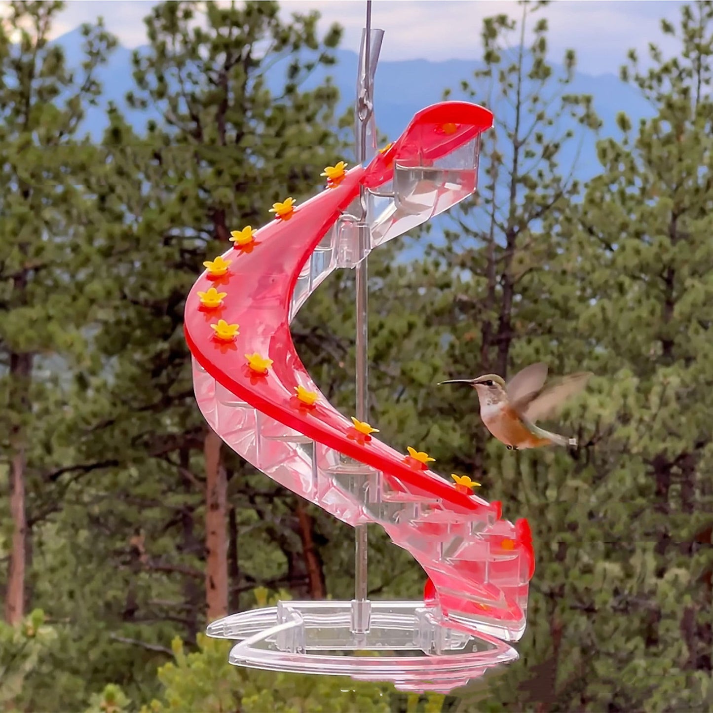 Climbing Ladder Spiral Hummingbird Feeder 5b3ece46 f0f9 4734 be36 b40e02c31793