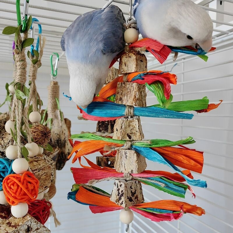 Parrot Toys Parrot Bite Supplies Bird Stand Rod Bird Cage 5b970517 9e97 4429 aba6 3edd9b236ab8