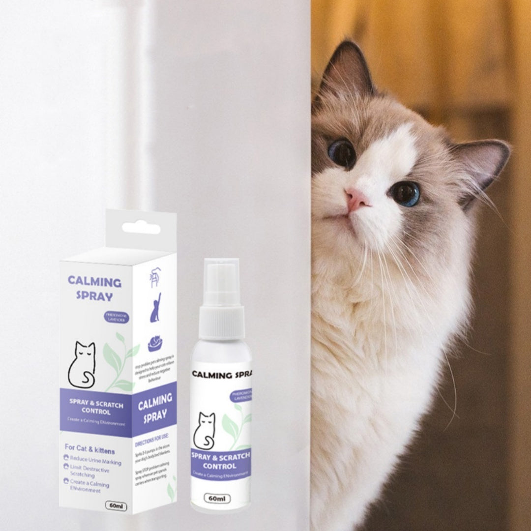 Organic Oil Formula Anxiety Relief Pet Calm Spray 5c5c9bdd 088e 4556 b1b1 29a661887d47