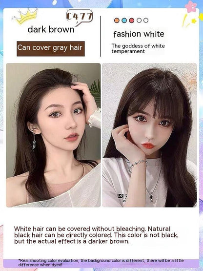 Ammonia-free Hair Color Paste Monochrome Paste Cover White Hair Multi-segment Color One-step Black Tea Gray Blue Black Hair D