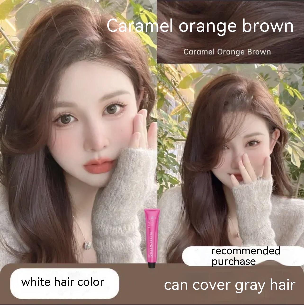 Ammonia-free Hair Color Paste Monochrome Paste Cover White Hair Multi-segment Color One-step Black Tea Gray Blue Black Hair D