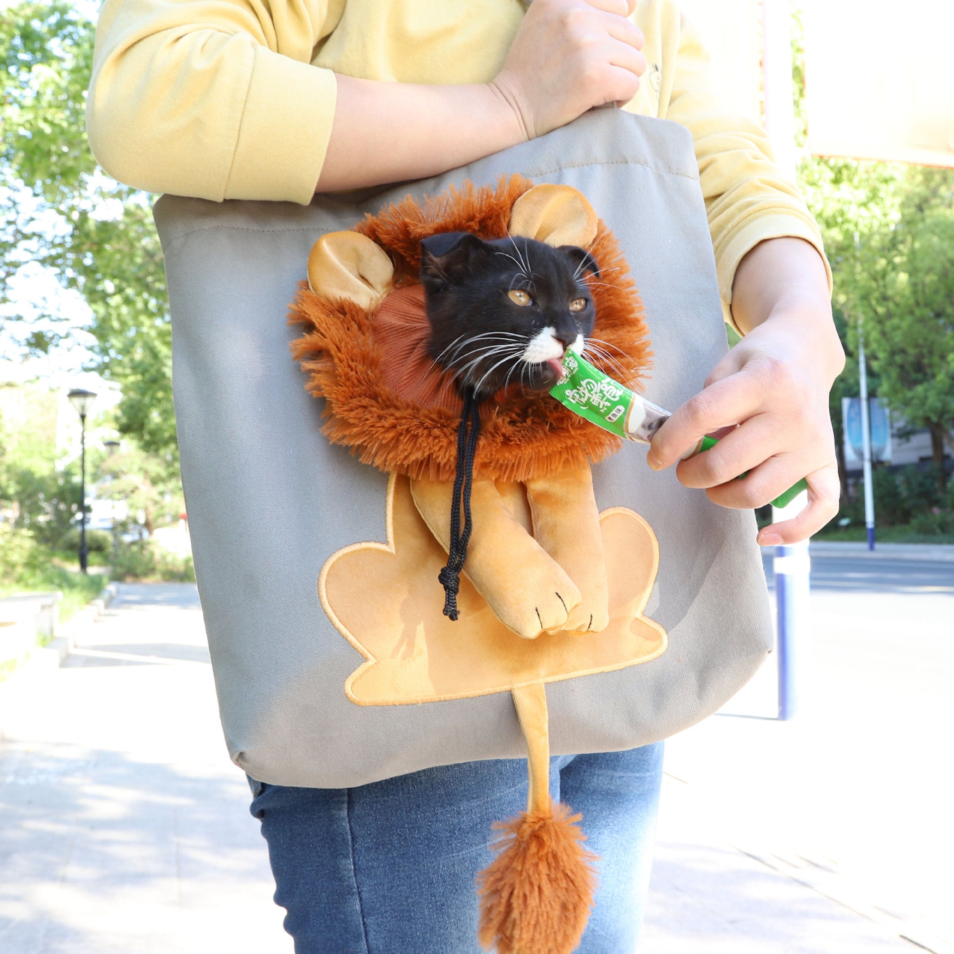 Soft Pet Carriers Lion Design Portable Breathable Bag Cat Dog Carrier Bags Outgoing Travel Pets Handbag With Safety Zippers 5