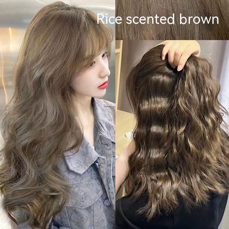 Ammonia-free Hair Color Paste Monochrome Paste Cover White Hair Multi-segment Color One-step Black Tea Gray Blue Black Hair D