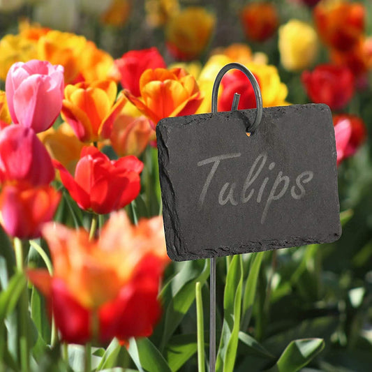 Black Slate Plant Label   Sign 60f63567 2712 4db8 b0c0 f9fb3457c4c2