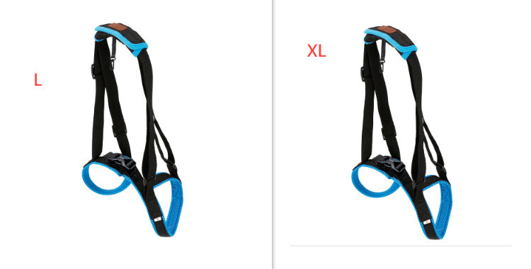 Pet Leg Strap Walking Support Dog Leg Support 60fcde02 de1f 4cbb b287 29f8b517ac1e