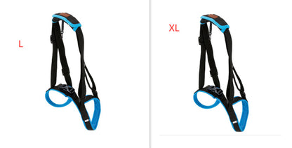 Pet Leg Strap Walking Support Dog Leg Support 60fcde02 de1f 4cbb b287 29f8b517ac1e