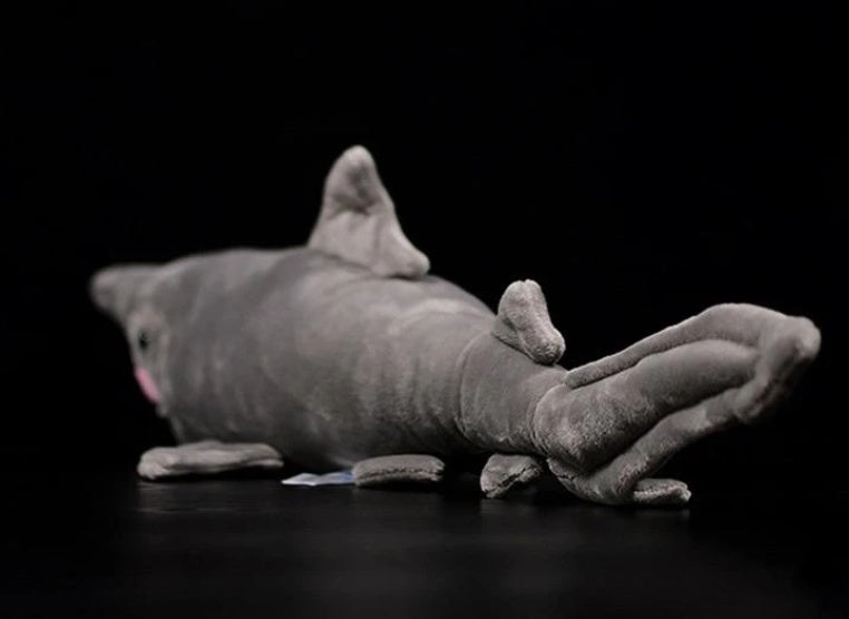 Shark Soft Stuffed Plush Toy 614177382039