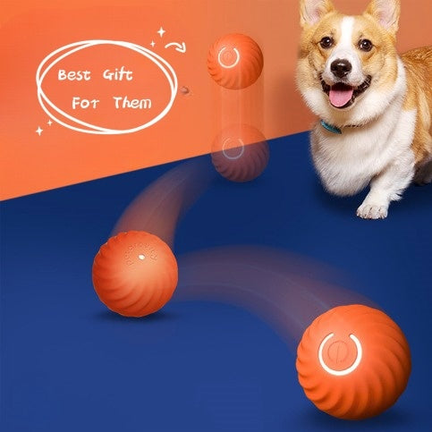 Pet Dog Rubber Ball Toys For Dogs Resistance To Bite Dog Chew Toys Puppy Pets Dogs Training Products 615588fb 137c 4844 8be3 