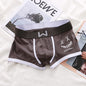Men's Slim-fit Boxers Leggings Sporty Simplicity 618139fa 01dc 40bd b199 2d5d70253414