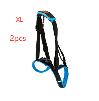 Pet Leg Strap Walking Support Dog Leg Support 624381c1 1ab0 4a35 9d04 d705b8274c65