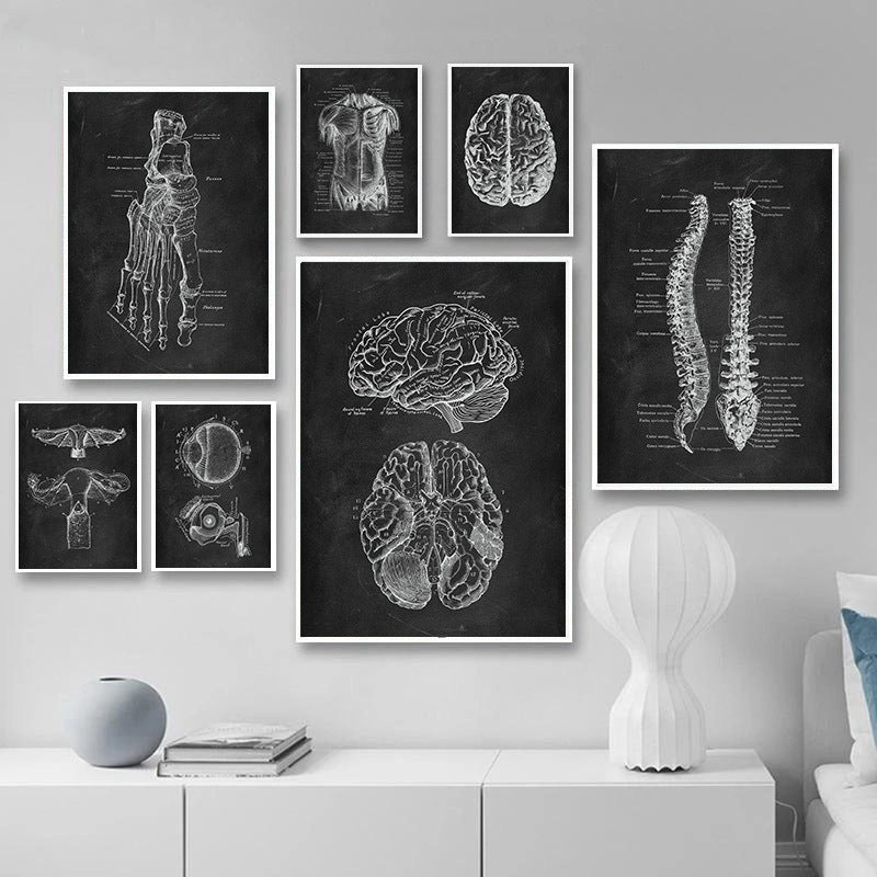 Canvas Painting Of Human Anatomy Skeleton Organ System - 图片 1