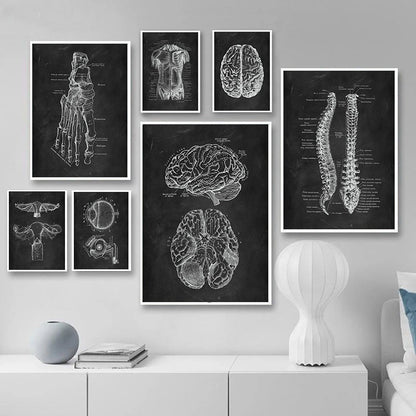 Canvas Painting Of Human Anatomy Skeleton Organ System - 图片 1