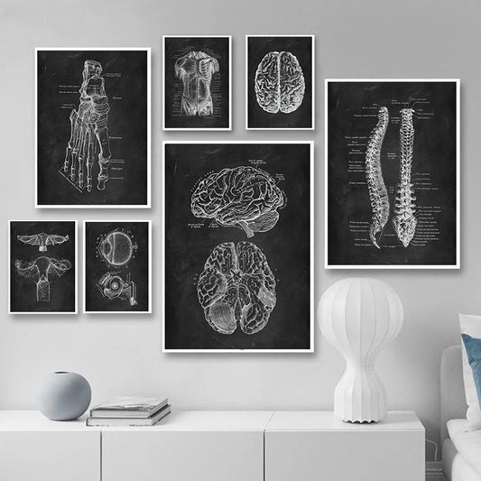 Canvas Painting Of Human Anatomy Skeleton Organ System - 图片 1