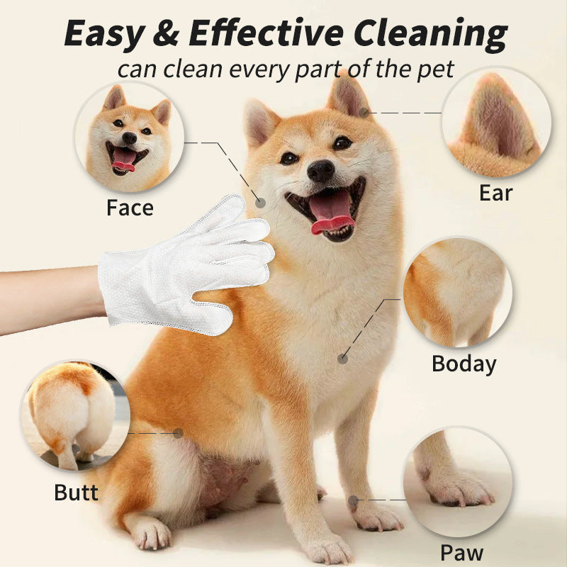 Pet Disposable Gloves Cat Dog Cleaning Dry Cleaning Gloves Pet Products 63b86c6c 8c13 4f78 8cb8 1f211c5e323a