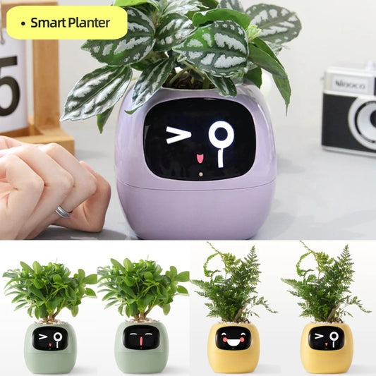 Smart Planter Endless Fun Over 49 Rich Expressions 7 Smart Sensors And AI Chips Make Raising Plants Easy And Fun 63bb920b e4e