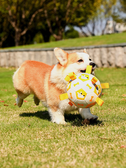 Pet Interactive Football Dog Outdoor Toy Molar Long Lasting 63d24ecb dd32 4ee5 ac3e d57f542a85cd