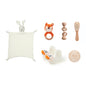 Infant Comfort Rattle Rabbit Bath Towel Gift Set 642fa0a9 6dee 44f3 919f e8b619da0bce