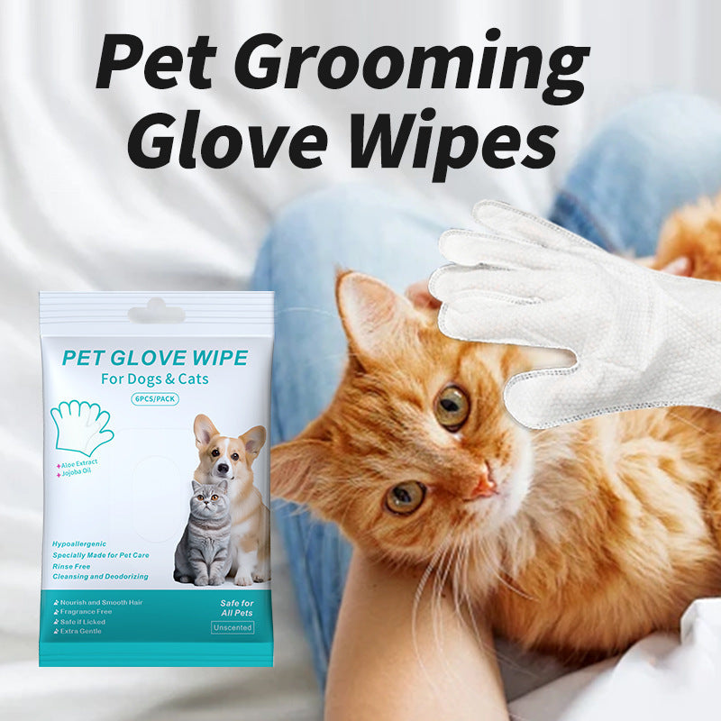 Pet Disposable Gloves Cat Dog Cleaning Dry Cleaning Gloves Pet Products 65dae88a 3602 402e b110 b511c7ead4e3
