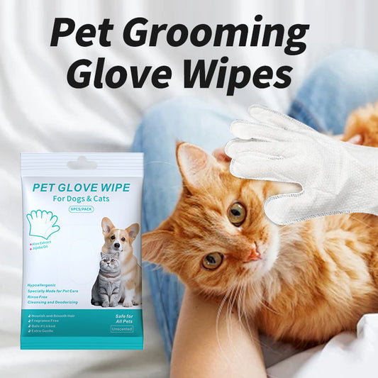Pet Disposable Gloves Cat Dog Cleaning Dry Cleaning Gloves Pet Products 65dae88a 3602 402e b110 b511c7ead4e3