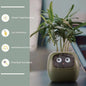Smart Planter Endless Fun Over 49 Rich Expressions 7 Smart Sensors And AI Chips Make Raising Plants Easy And Fun 66566bdd 8d0