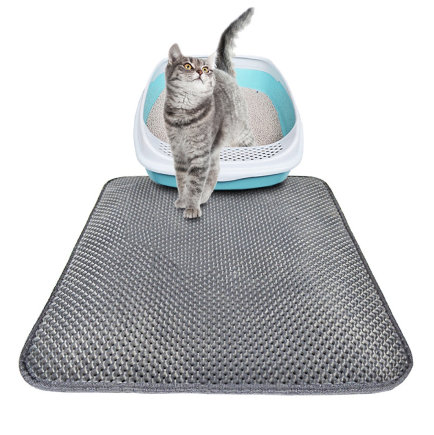 Double Layer Litter Cat Bed Pads Pet Cat Litter Mat Trapping Pets Litter Box Mat Pet Product Bed For Cats House Clean Mat 676