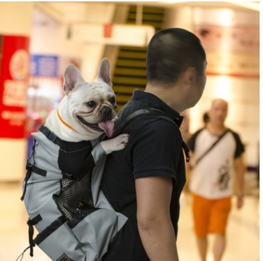Ventilated And Breathable Pet Backpack 6774014351764