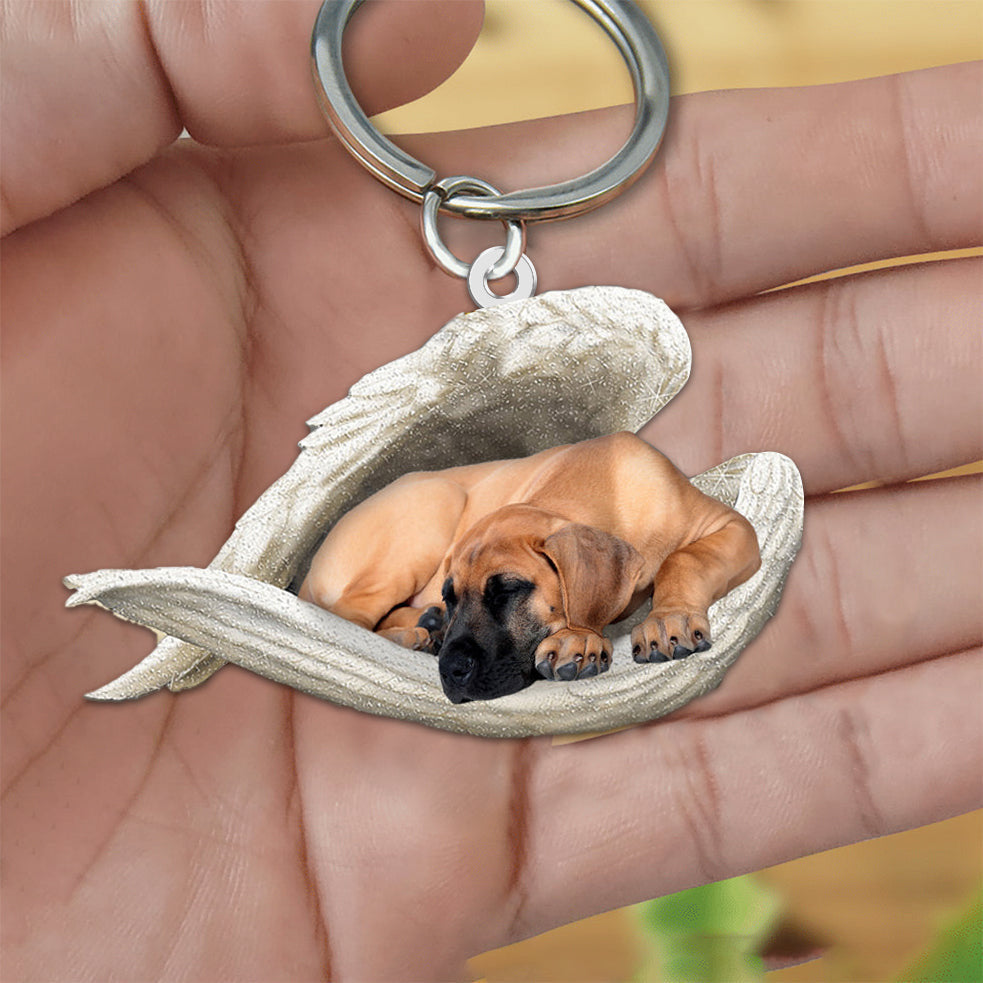 New Unique Dogs And Cats Sleeping Angel Pendant Car Key Ring 683fab84 3470 4e2f ac05 17fc1a18644f