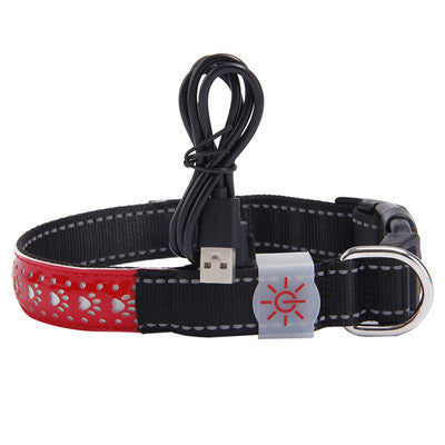 LED light collar pet collar 693559308495