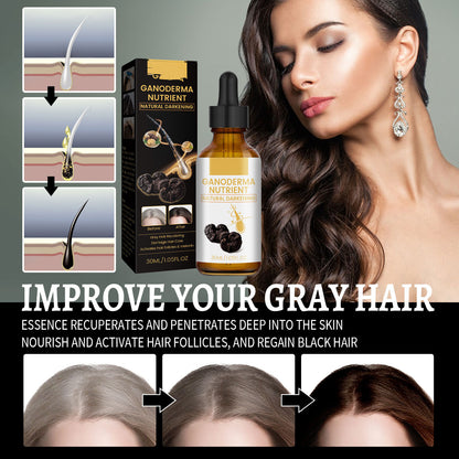 Hair Care Moisturizing Hair Repair Massage 694b77ce 5b8a 47eb a63e 1deef315392a