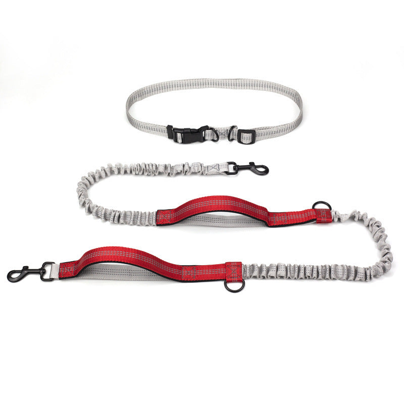 Multifunctional Running Reflective Double Telescopic Dog Leash Dog Chain Lead Rope 69e6ac49 2504 4be0 afe6 2787726b0c2b