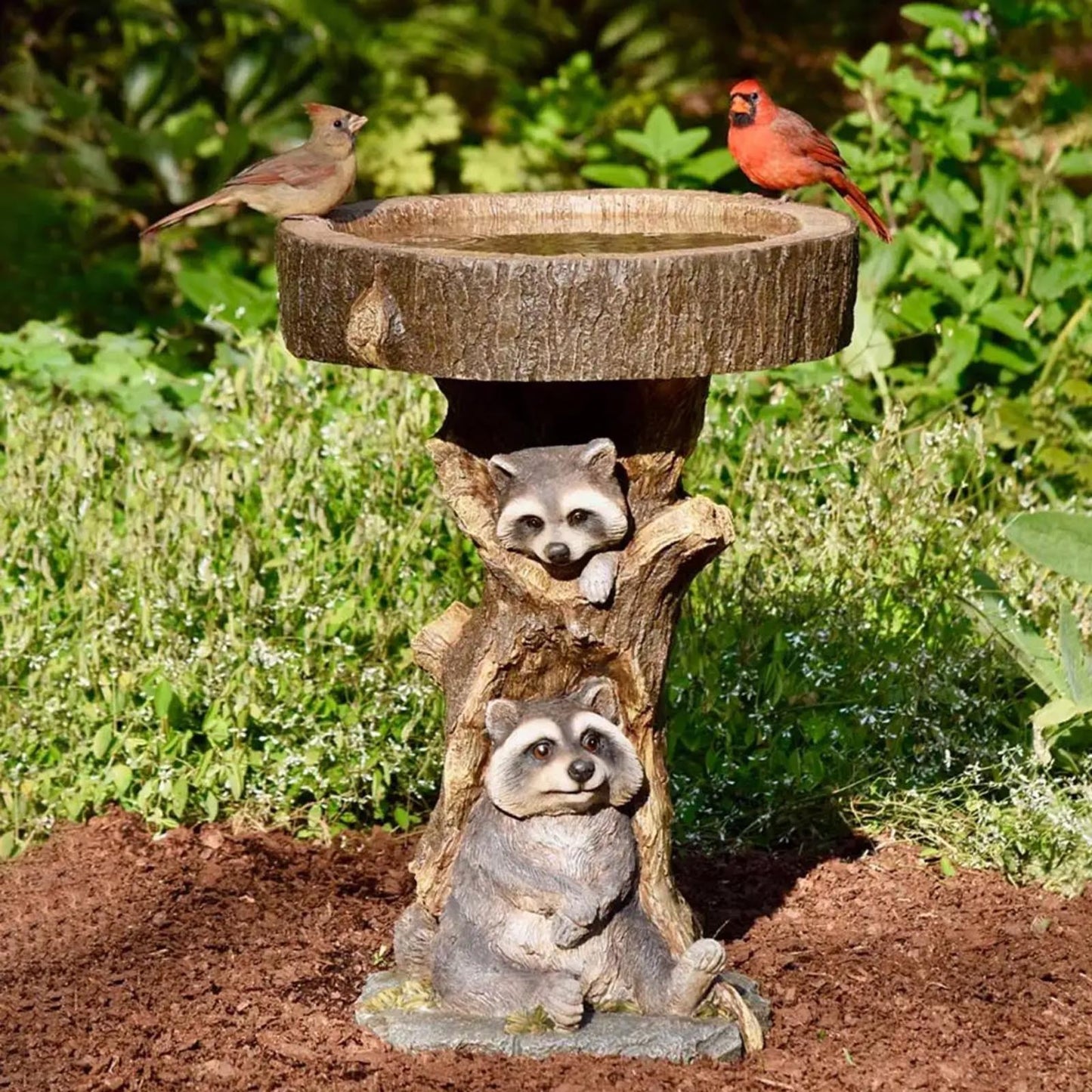 Garden Decoration Raccoon Resin Ornaments Handicraft Gardening Bird Drinking Ornaments 6a05fca8 1202 4581 8ecd 11107bbbab00