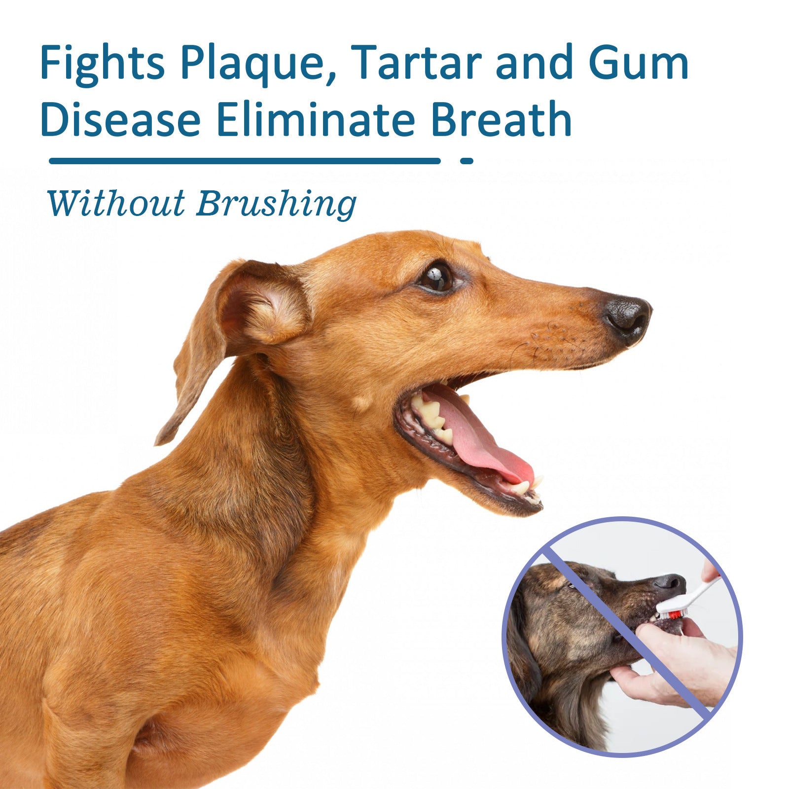 Pet Oral Cleaning Spray Remove Tartar And Bad Breath 6a0ba052 b39e 473f a3b6 a754596b4dbf